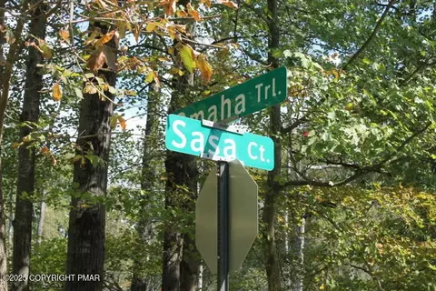 21 Omaha Trail, Pocono Lake, PA 18347