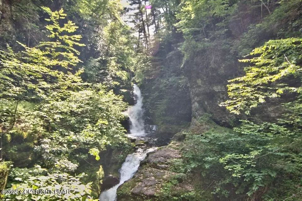 Other - 136 Falls Dr, Buck Hill Falls, PA 18323 photo 18 of 23