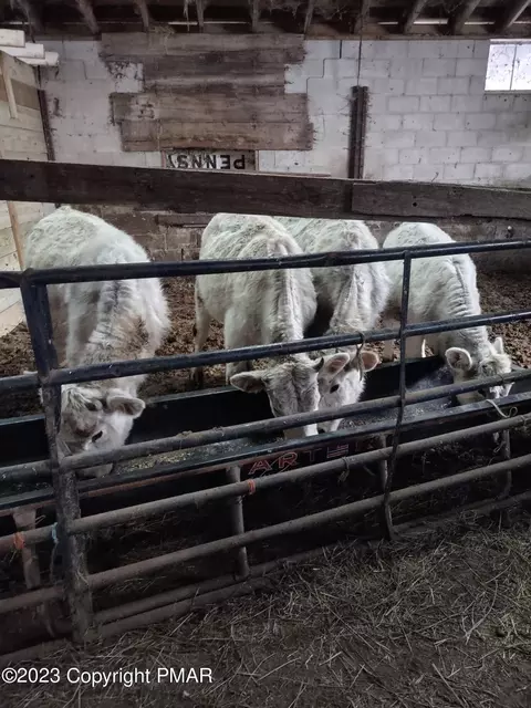 67 E Sterling Rd, Newfoundland, PA 18445