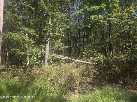 0 Ute Trl, Albrightsville, PA 18210