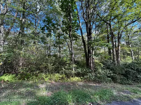 lot12 Rhododendron Rd, Jim Thorpe, PA 18229