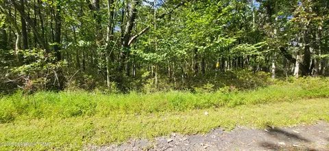 A188 White Oak Lane, Jim Thorpe, PA 18229