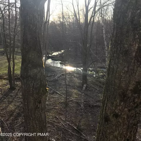 lot119 Mountain Rd, Albrightsville, PA 18210