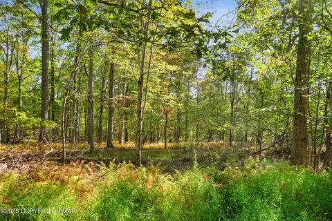 Spring Run Ln 17, Cresco, PA 18326