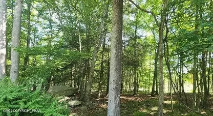 lot501 Warbler Ct, Bushkill, PA 18324 photo 6