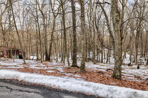 lot501 Warbler Ct, Bushkill, PA 18324 photo 9