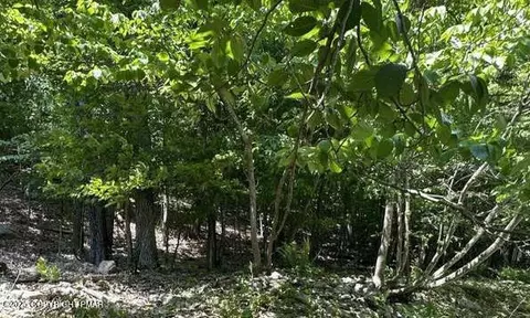 lot501 Warbler Ct, Bushkill, PA 18324 photo 7