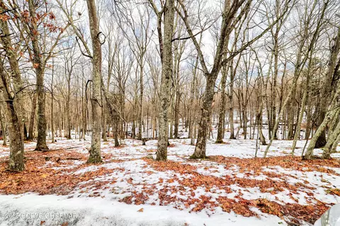 lot501 Warbler Ct, Bushkill, PA 18324 photo 10