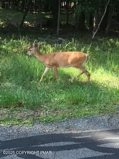 lot14 1517 Pocono Mountain Lake Dr, Bushkill, PA 18324