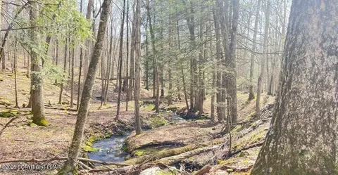 lot155 Tink Wig Dr, Hawley, PA 18428