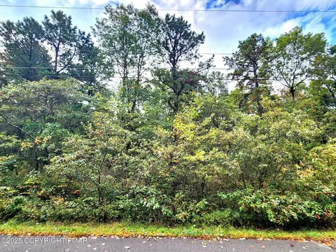 lot E361 Robertson Rd, Jim Thorpe, PA 18229