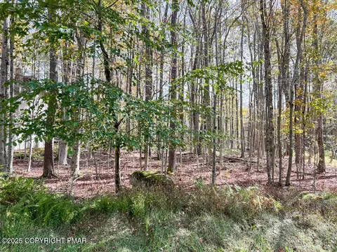 4 Maxatawny Drive, Pocono Lake, PA 18347