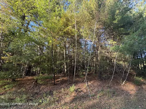 lot13 Pine Tree Ln, Kunkletown, PA 18058
