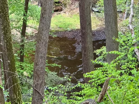 View/Area - 207 Manchester Dr, Bushkill, PA 18324 photo 2 of 2