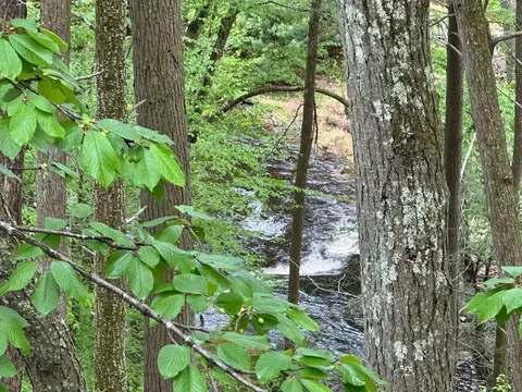 View/Area - 207 Manchester Dr, Bushkill, PA 18324 photo 1 of 2