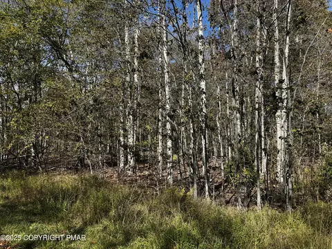 Red Spruce Road, Pocono Pines, PA 18350