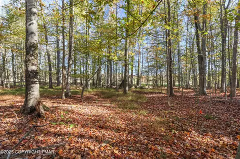 Cygnus Road, Lake Ariel, PA 18436