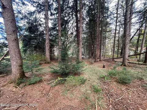 Henning Road, Albrightsville, PA 18210