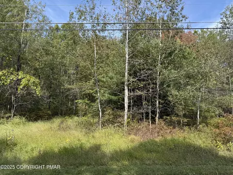 223 Wolf Dr, Jim Thorpe, PA 18229