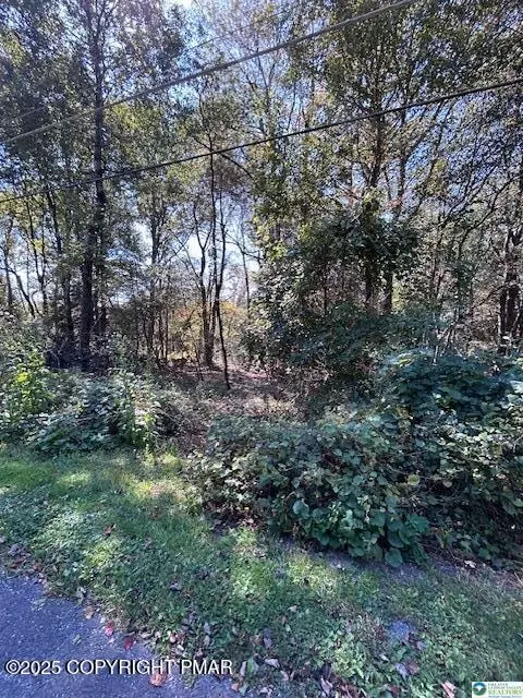 lot I731 Yellow Run Rd, Jim Thorpe, PA 18229