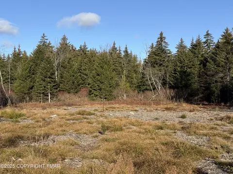12 Laurel View Ln, Tobyhanna, PA 18466