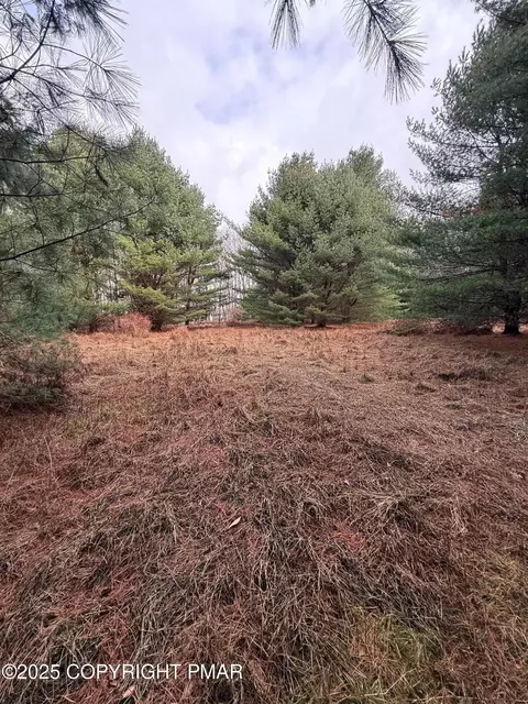 lot Ev359 Shakespeare Cir, Albrightsville, PA 18210