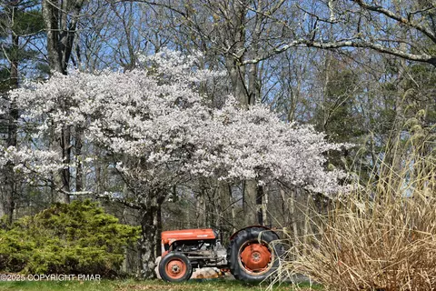 Other - 113 Jackson Rd, Shavertown, PA 18708 photo 1 of 14
