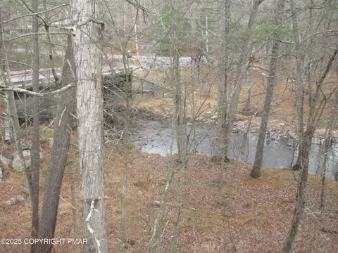 View/Area - 159 Stream Ct, Bushkill, PA 18324 photo 2 of 3