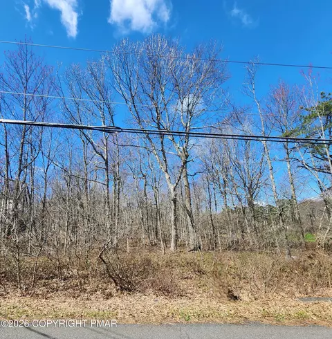 lot D423 Panther Run Rd, Jim Thorpe, PA 18229