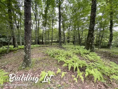 Skyline Drive, Canadensis, PA 18325