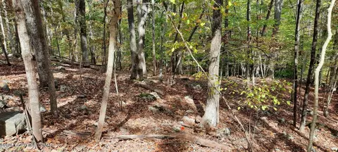 lot8 Sec 24 Decker Rd, Bushkill, PA 18324 photo 3