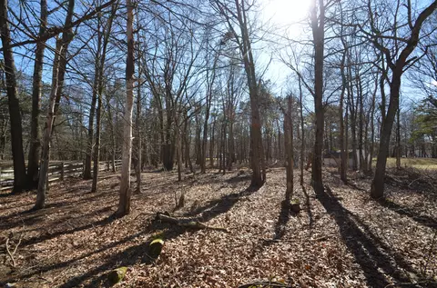 Stony Mountain Road, Albrightsville, PA 18210