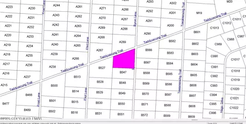 B546 Teddyuscung Trail & Byron Lane, Albrightsville, PA 18210