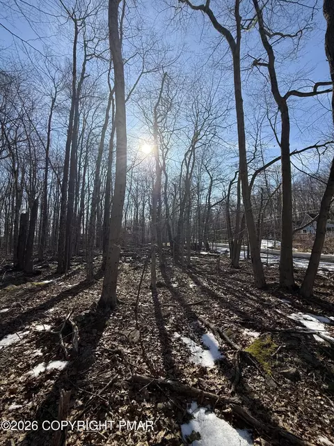 804 Selig Rd, Pocono Lake, PA 18347