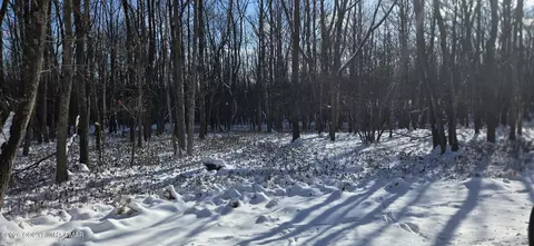 Ep2106 Old Stage Road, Albrightsville, PA 18210