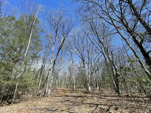 134 Maple Dr, Cresco, PA 18326