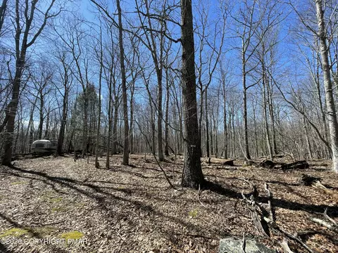 217 Berry Lane, Cresco, PA 18326