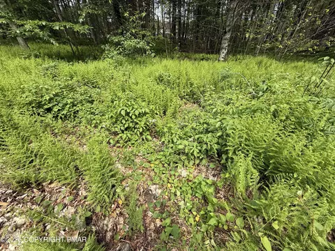 Dorshimer Ave, Blakeslee, PA 18610