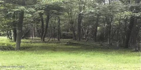 Pine Tree Rd 824 Road, Pocono Summit, PA 18346