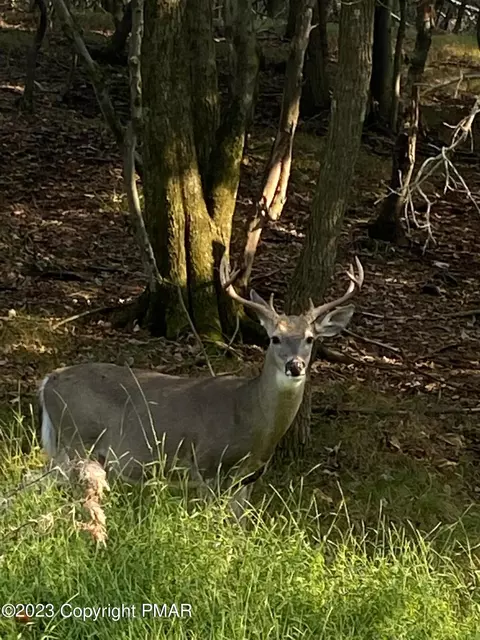 lot2 3 Nadine Rd, White Haven, PA 18661