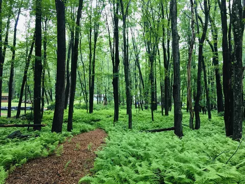 lot506 Ridge Rd, Pocono Lake, PA 18347