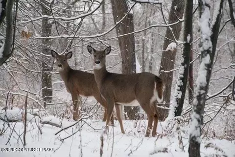 1065 Stag Run #1614, Pocono Lake, PA 18347
