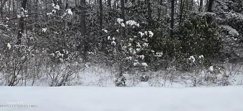 Trail Ridge Road, Albrightsville, PA 18210