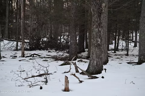 1121 Broken Ski Rd, Henryville, PA 18332