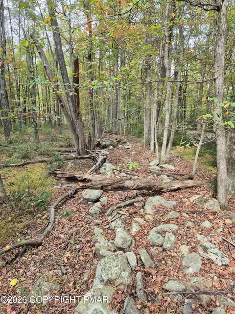 Millheim Road, Bath, PA 18014 photo 9
