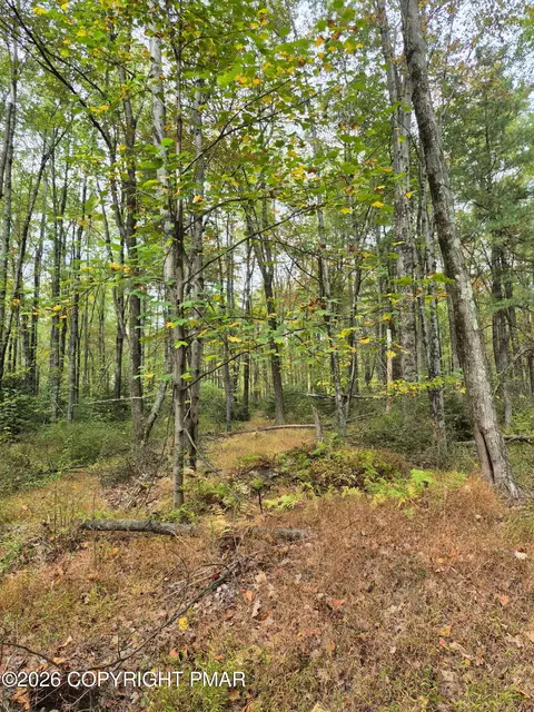 Millheim Road, Bath, PA 18014 photo 8