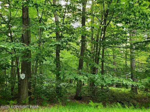 Oak Leaf Ln 39 Lane, Pocono Lake, PA 18347