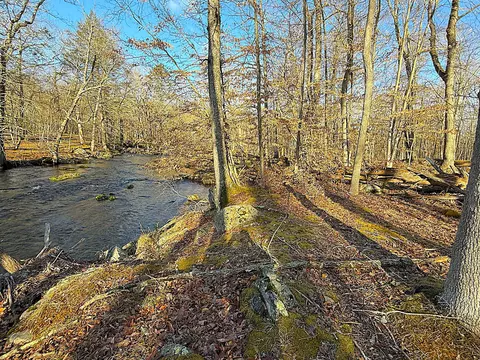 View/Area - 6486 Decker Rd, Bushkill, PA 18324 photo 1 of 7