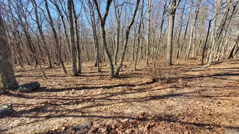 lot155 Cardinal Dr, Bushkill, PA 18324