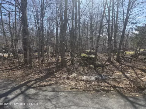 Chipmunk Drive, Coolbaugh Township, PA 18466